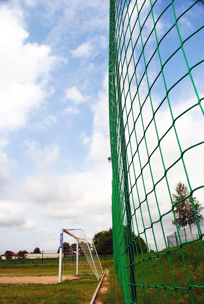 凭借深厚的 凭借深厚的