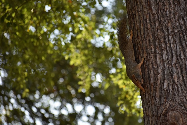 传球和射门 传球和射门