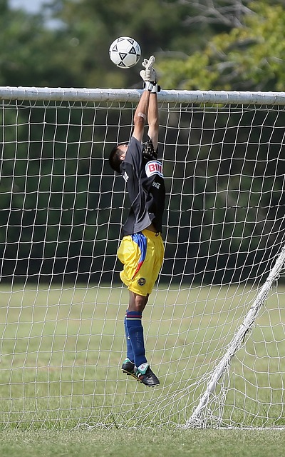 无数球星用 无数球星用