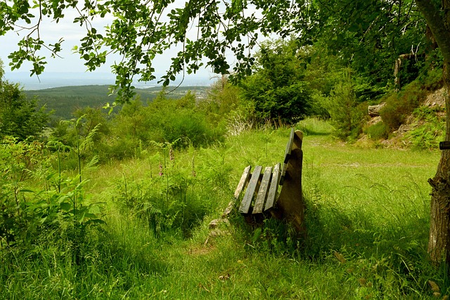 时间内成为 时间内成为