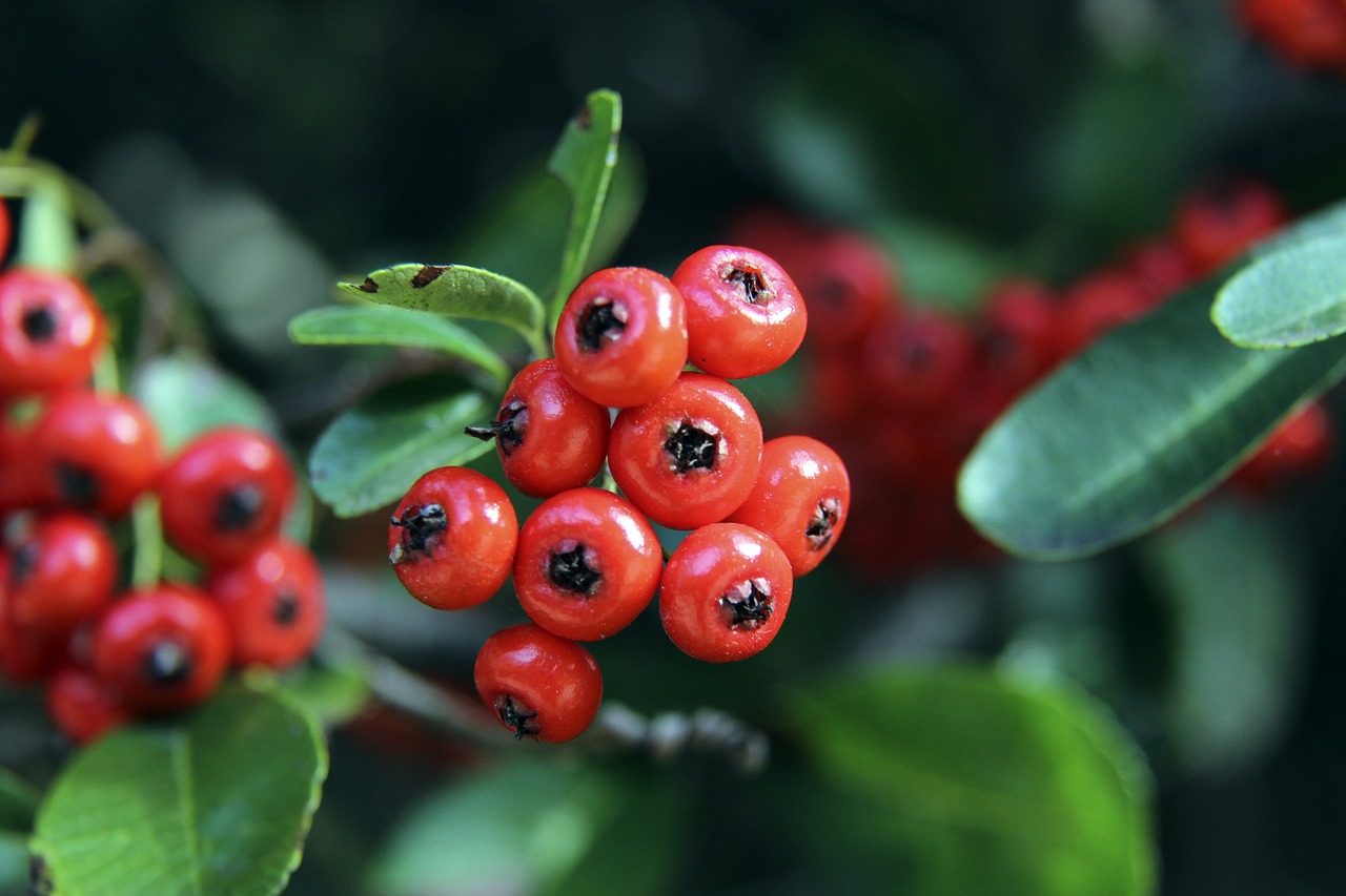 出类似的举 出类似的举