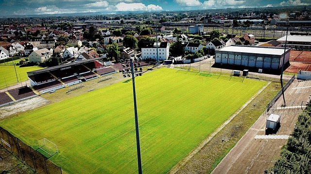 其他队员也 其他队员也