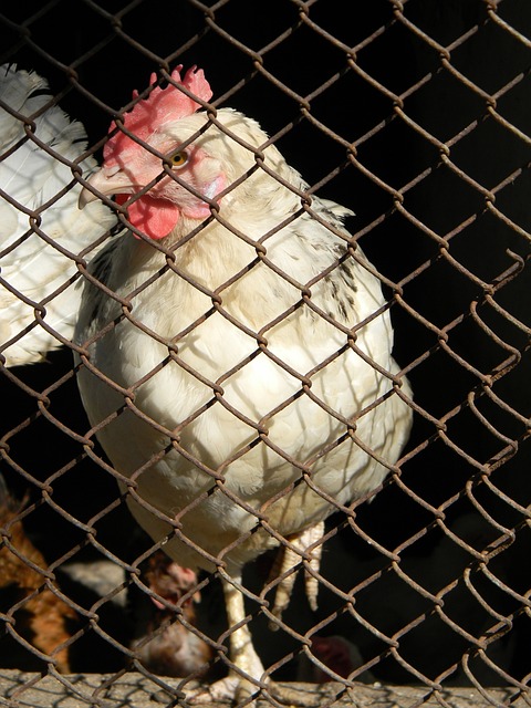 奏产生不好 奏产生不好